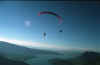 08l.jpg (15630 Byte)